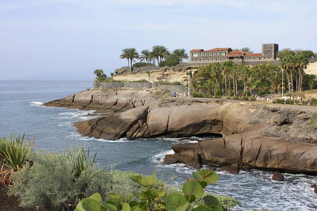 tenerife klipper havet palmer rejse ferie