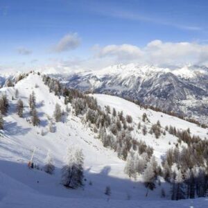 La Fôret Blanche